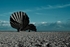 The Scallop - Aldeburgh Beach II