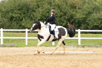 SBM_003535