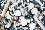 Treasure Trove, Silver Beach, Co Dublin