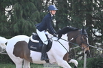 1 British Novice 90cm Open portfolio