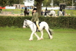 SBM_71561