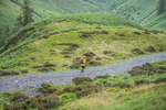Skiddaw-1064