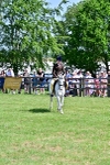 SBM_13887