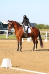 SBM_010582