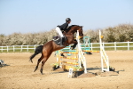 SBM_001160