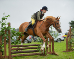 Dunblane show-482