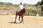 SBM_002847