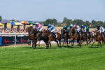 120826-Race 3-Sir David-6118