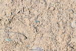 250614A-130950-06608