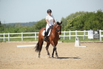 SBM_009612