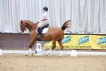 SBM_001551