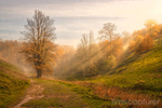 The Autumn Valley