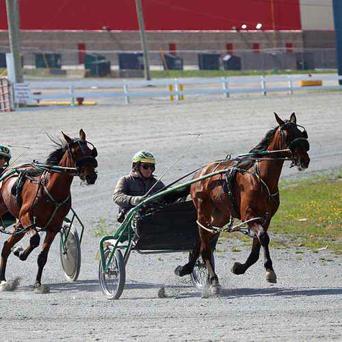 Exhibition Park Raceway Saint John New Brunswick Canada