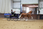 SBM_000573