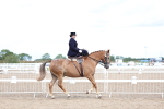 SBM_03203