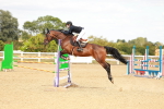 SBM_007198