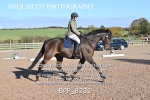 BPP_8232