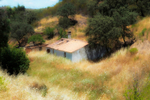 Abandoned hut