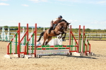 SBM_005206