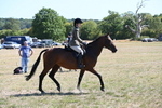 WJ6_8366