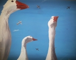 Concerning Flight