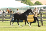 SBM_00684
