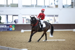 SBM_001931