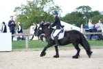 SBM_17919