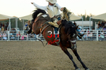3HRodeo8-5-24_CFD_3HR-YUMA- 0915_