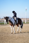 SBM_004415
