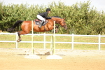 SBM_010363