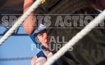 Boxing_Guernsey v Manchester-8