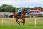 Race 5 16.12pm Sky Bet Go-Racing-In-Yorkshire Summer Festival Handicap portfolio