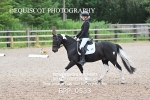 BPP_0533