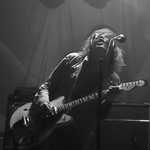 The Dandy Warhols