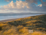 Winter light, Harlech dunes