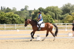 SBM_003428