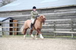SBM_006275