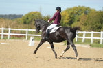 SBM_001919