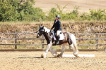 SBM_000823