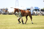 SBM_14961