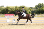 SBM_002940