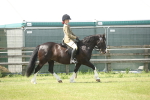 SBM_09159