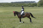 BVHT 140517  IXC -30