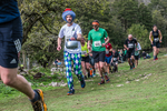 Dovedale-1162