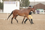 SBM_07738