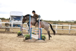 SBM_008403