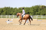 SBM_010249
