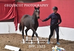 BPP_1523