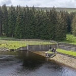 Holme